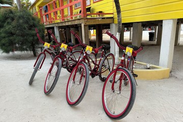Bicycling