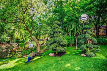 Japanese garden