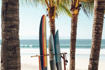 Surfing/boogie boarding