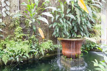 Fountain