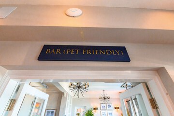 Pet-friendly