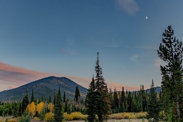 Land view from property