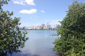 Lake