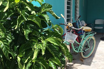 Bicycling