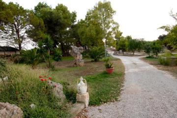 Photo 45