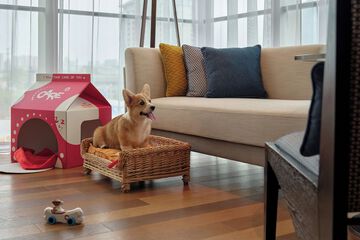 Pet-friendly amenities