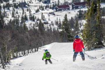 Ski hill