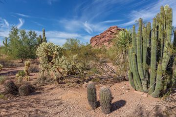 Desert view