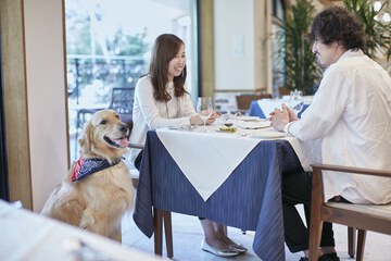 Pet-friendly