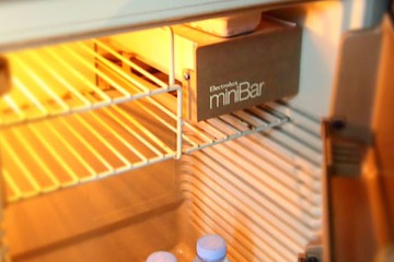Mini-refrigerator