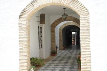 Photo 37