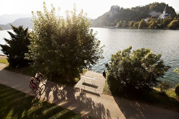 Lake view