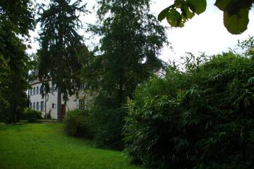 Photo 54