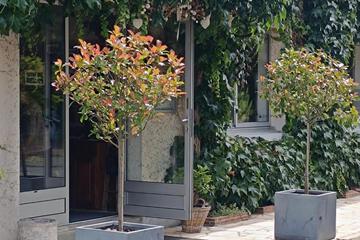 Photo 49