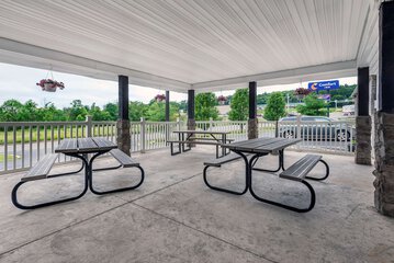 Terrace/Patio 56 of 59