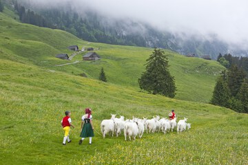 Hiking