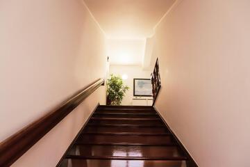 Photo 50