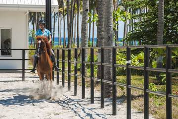 Horseback riding