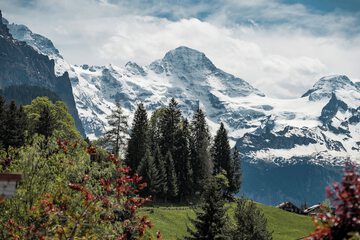 Mountain view