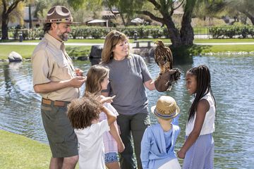 Children's activities