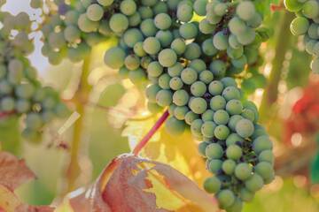 Hotel View 130 of 143