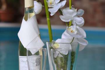 Poolside bar