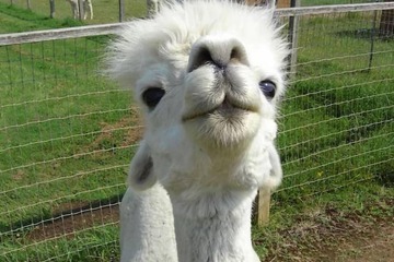 Property Grounds 34 of 37