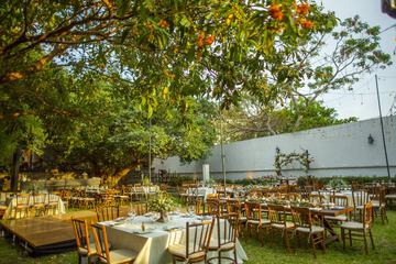 Outdoor wedding area