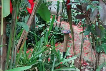 Gazebo