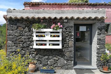 Check-in/check-out kiosk