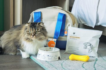 Pet-friendly
