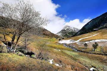 Hiking