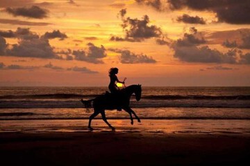 Horseback riding