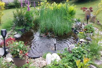 Photo 22