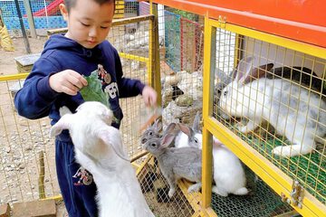 Children's activities