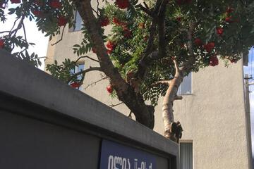 Photo 34