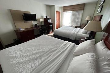 Photo 43