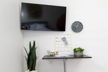 Television