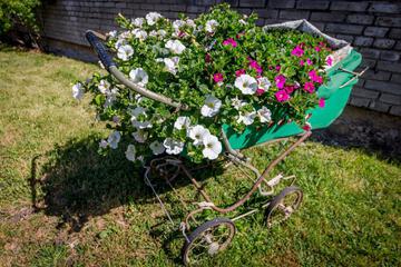 Photo 46