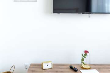 Television