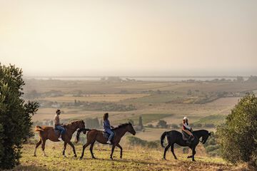 Horseback riding