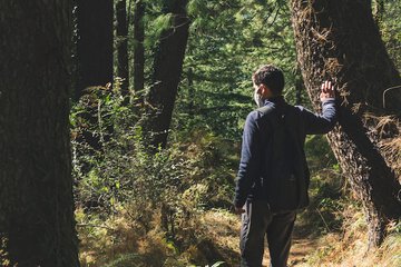 Hiking