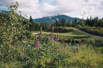 Golf view