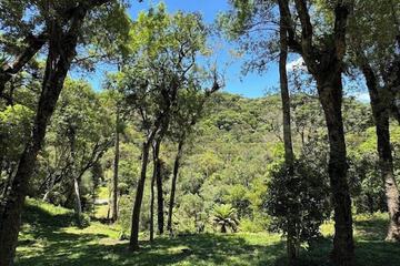 Hiking