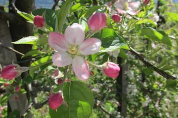 Photo 27