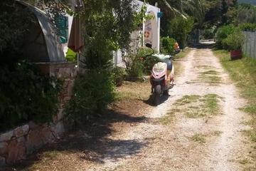 Photo 21