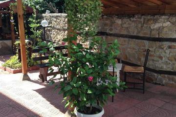 Photo 25