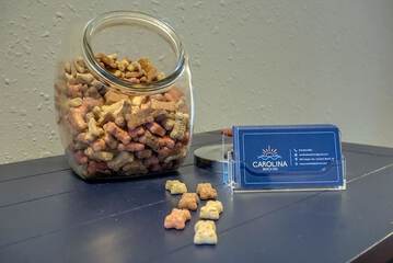 Pet-friendly amenities