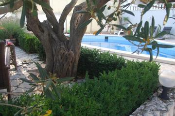 Photo 66