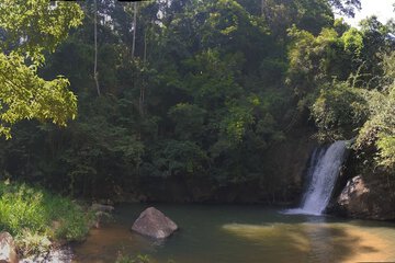 Natural pool